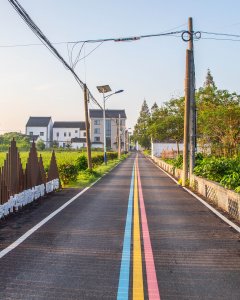 乡村振兴路